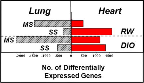 Cigarette smoke impacts genes linked to health of heart and lungs