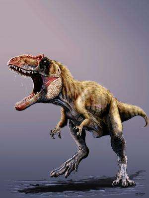 Colossal new predatory dino terrorized early tyrannosaurs