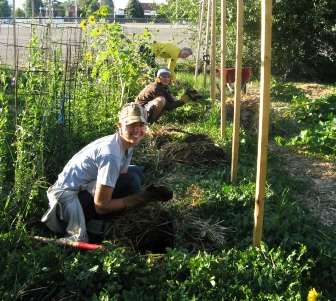 Community gardens may produce more than vegetables