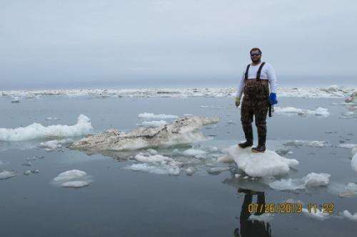 Conducting cool summer research in the Arctic