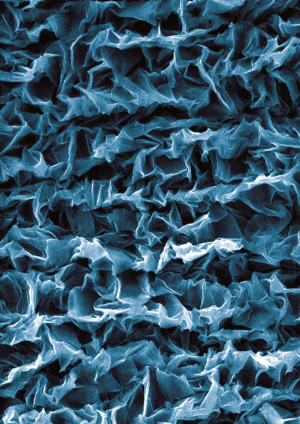 Controlled crumpling of graphene forms artificial muscle