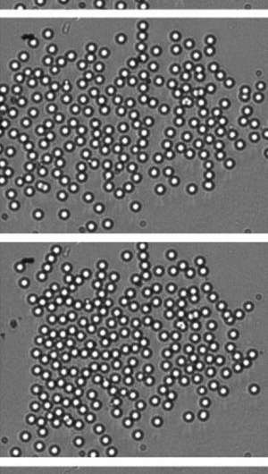 Controlling particles for directed self-assembly of colloidal crystals