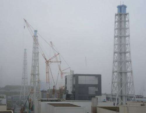 Covers are installed for a spent fuel removal operation at Japan's Fukushima plant on June 12, 2013