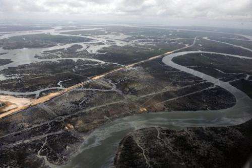 Creeks devastated by spills caused by oil thieves in the Niger Delta in Nigeria, March 22, 2013.