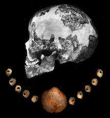 Dating of beads sets new timeline for early humans
