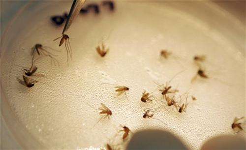 Deaths from West Nile virus hit record last year