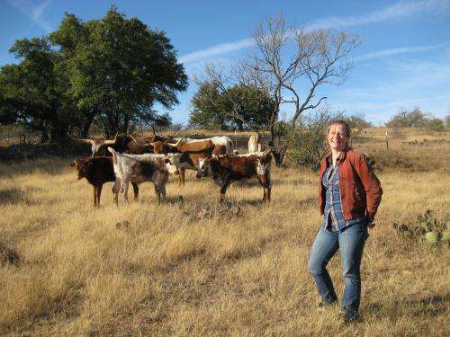 Decoding the genetic history of the Texas longhorn