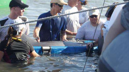 Deepwater Horizon NRDA study shows possible oil impact on dolphins