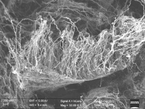 Diamonds, nanotubes find common ground in graphene