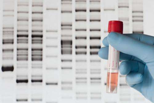 Direct-to-consumer genetic testing kits vary in predictions of disease risk