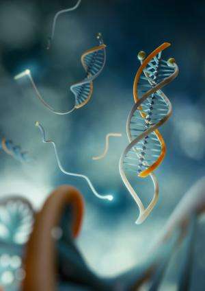 DNA clamp to grab cancer before it develops