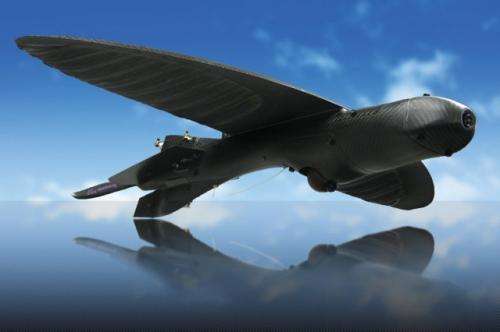 DoD to get camouflaged bird-sized drones for recon missions