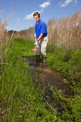 Drainage ditches can help clean up field runoff