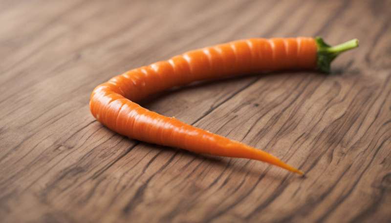 Drug against flu obtained from carrot