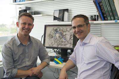 Duo searching for new cancer drugs win 2013 Burnet Prize