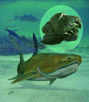 Fish fossil yields jaw-dropping data on Man's past