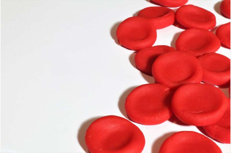 EU red blood cell research project to advance rare anaemia patient care