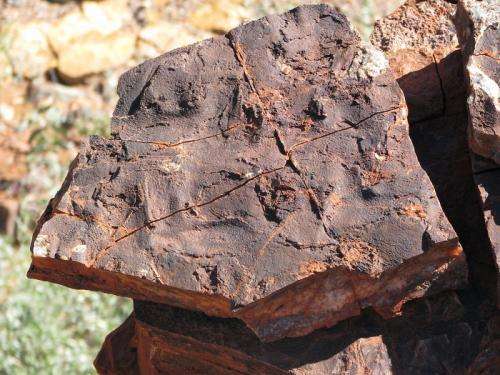 Evidence of 3.5 billion-year-old bacterial ecosystems found in Australia