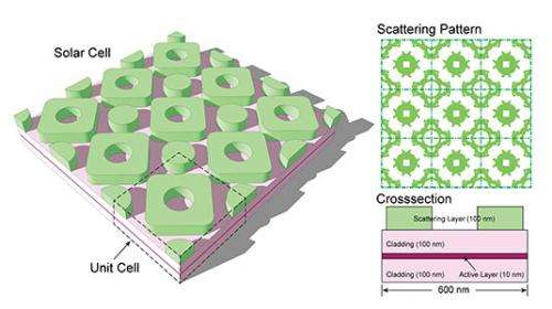 Evolution inspires more efficient solar cell design