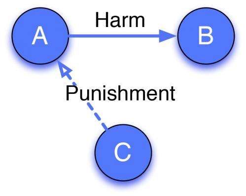 Evolution of 'third party punishment'