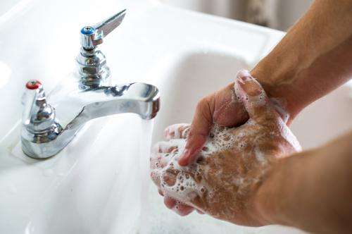 Eww! Only 5 percent of us wash hands correctly