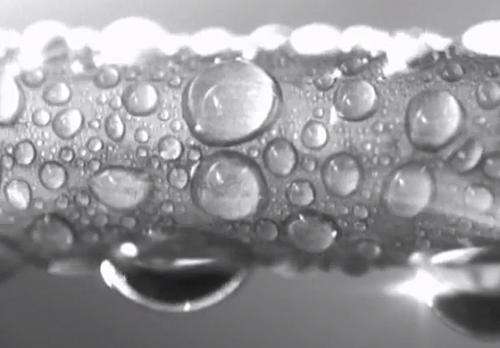 Explained: Hydrophobic and hydrophilic