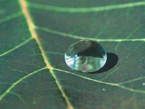 Explanation as to when a liquid on a rough surface will form a thin film and when it will form droplets