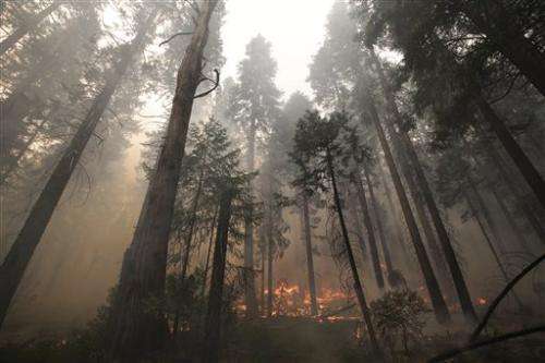 Explosive western US wildfire 20 percent contained