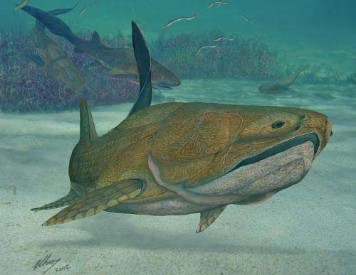 Extraordinary 'missing link' fossil fish found in China