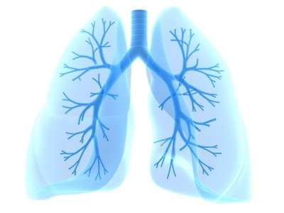 Finding cellular causes of lung-hardening disease