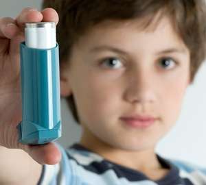 First model of how Sydney pollutants may drive childhood asthma