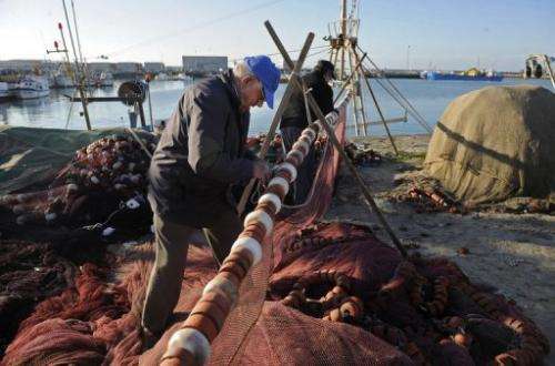Fishermans sew nets next to boats anchored at the fishing port of Barbate, southern Spain, on January 9, 2012