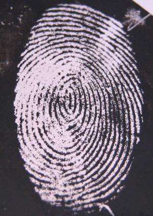 Fluorescent fingerprint tag aims to increase IDs from 'hidden' prints on bullets and knives