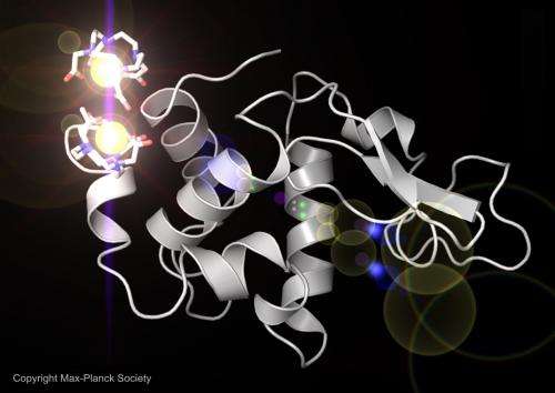 Scientists prove X-ray laser can solve protein structures from scratch