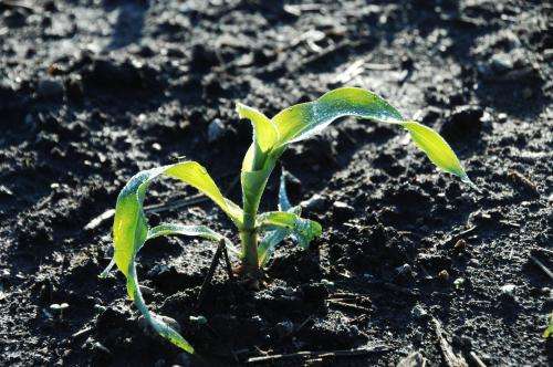 For farmers, plenty of uncertainty accompanies planting season