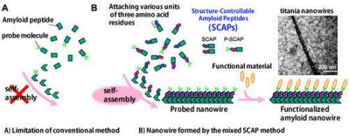 Formation of functionalized nanowires by control of self-assembly using multiple modified amyloid peptides