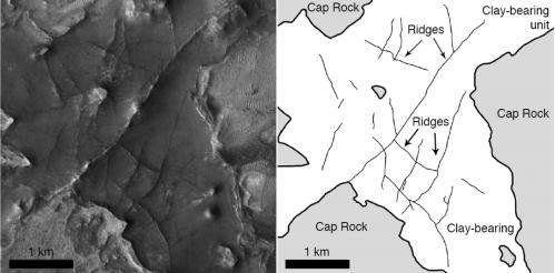 Fossilized conduits suggest water flowed beneath Martian Surface