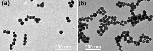 Freedom of assembly: Scientists see nanoparticles form larger structures in real time