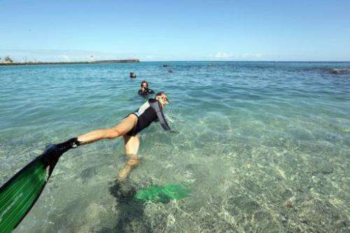French ecologist, Didier Derand, 55, swims at the site of shark attacks, La Reunion on August 19, 2012