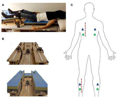 Full body illusion is associated with a drop in skin temperature