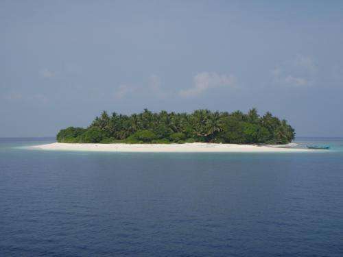 Future sea level rises should not restrict new island formation in the Maldives