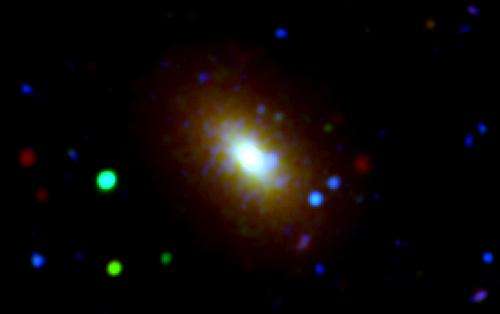 Galaxy growth examined like rings of a tree