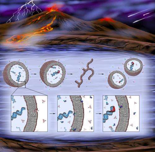 Researchers find a missing component in effort to create primitive, synthetic cells