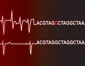 Gene testing for heart diseases now available