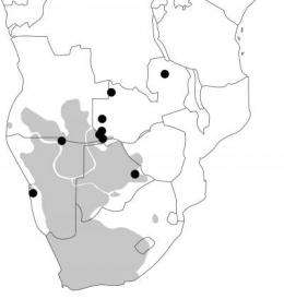 Genetic admixture in southern Africa