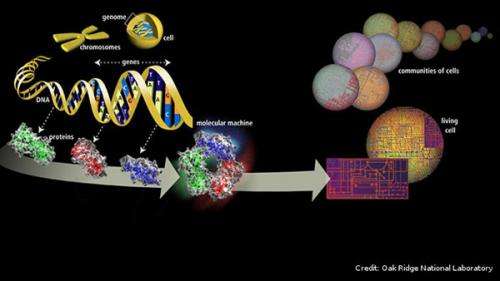 Genome instability studies could change treatment for cancer and other diseases