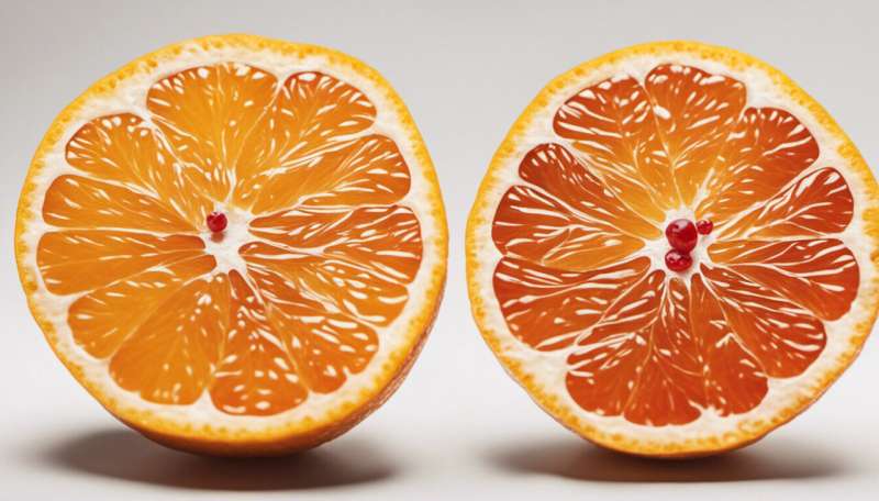 Genomics: Sweet success with citrus