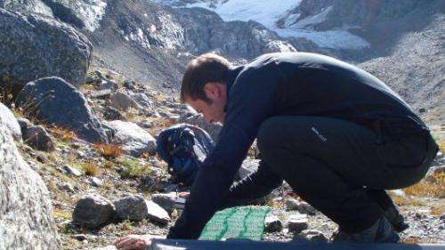 Germination of alpines: Climate change could shift the timing of seed germination in alpine plants