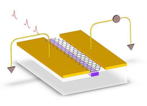 Graphene could yield cheaper optical chips