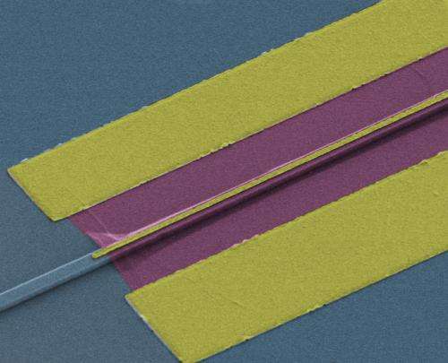 Graphene photodetector integrated into computer chip